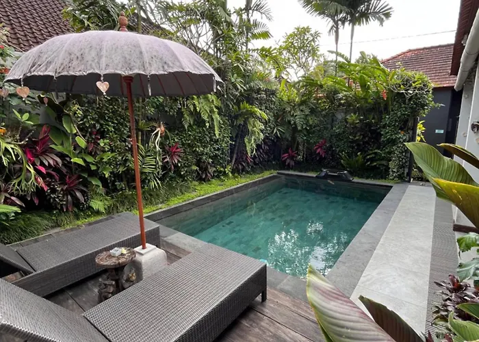 Badra House Frangipani