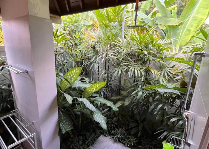 Badra House Frangipani Villa Ubud